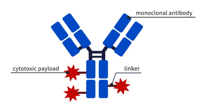 1743409833424556.png 微信截圖_20250331163028.png